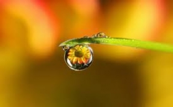 Món quà của riêng mọi người