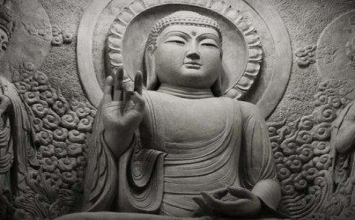 Nuôi lớn đau thương