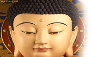 Nhìn thấu là trí tuệ chân thật