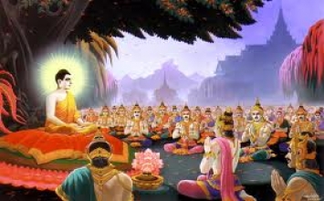 Bảy bước thăng trầm