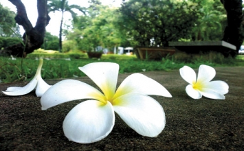 Vứt bỏ những trói buộc