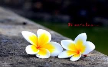 Sự sống bao la