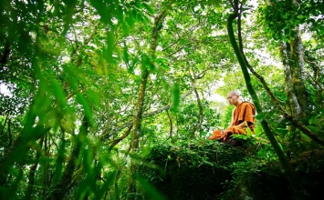 12 quy tắc quan trọng để sống như một thiền sư