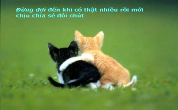Chia sẻ