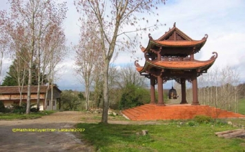 Ăn nhờ ở đậu