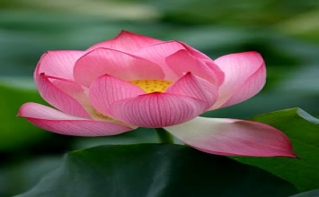 Không có gì để vội vã