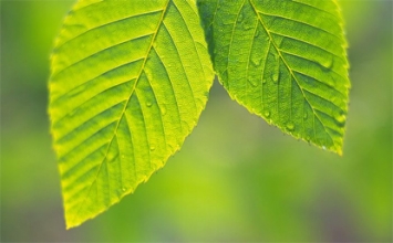 Làm mới thân tâm
