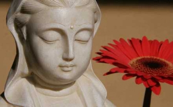 Hãy nhìn phiền não bằng con mắt khác