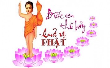 Ý nghĩa bảy bước nở hoa sen