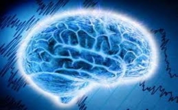 Phòng ngừa bệnh mất trí nhớ