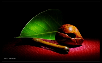 Hãy chuyển hóa tâm