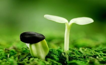 Sống để làm gì?