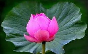 Chiến thắng tự tâm mình