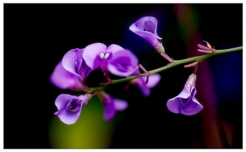 Bất đồng ý kiến