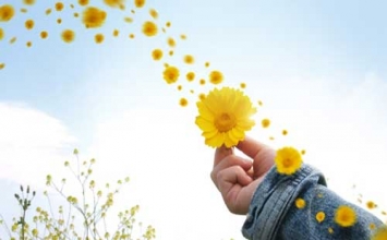 Thấy nghe mà không dính mắc