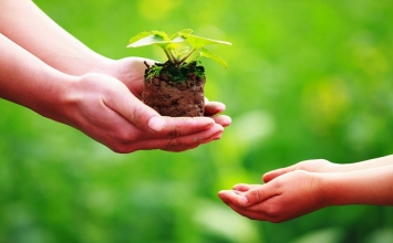Hãy sống trong hạnh phúc dù cuộc đời không như mơ