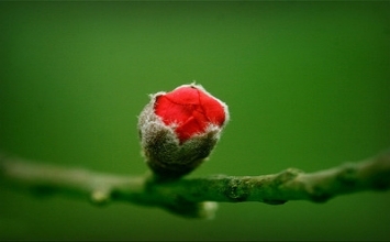 Để cuộc sống được an ổn và vui vẻ