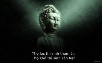 Không đắm nhiễm thì sống vui