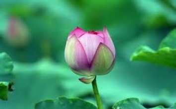 Không có gì tồn tại mãi mãi