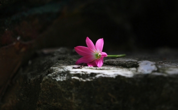 Người sống ở đời, quý ở chỗ giàu mà có đức