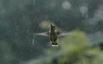 Vì cuộc sống ngắn hơn bạn nghĩ