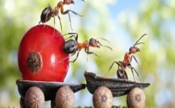 Lời Nói Ðùa Và Qủa Báo