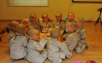 Mầm Bồ đề luôn xinh tươi chốn Thiền môn