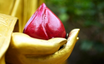 Thông báo Lễ Quy Y
