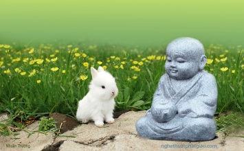 Chú tiểu và thú con