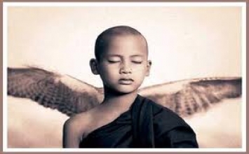Con sẽ sống bao lâu