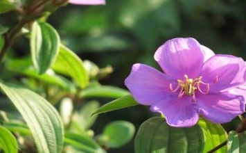 Đẹp và xấu