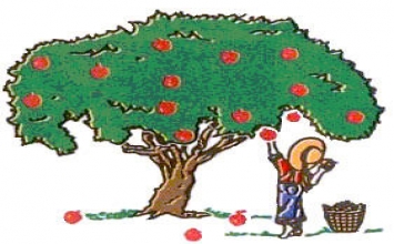 Lượm xoài