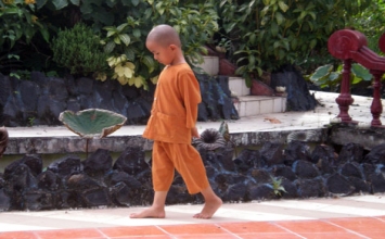 Một bác sĩ nghiên cứu về bí ẩn của thiền
