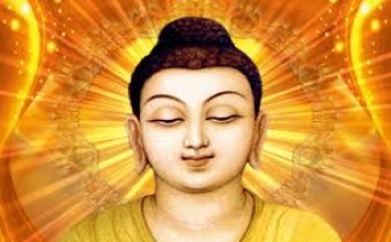 Người xấu xí được độ