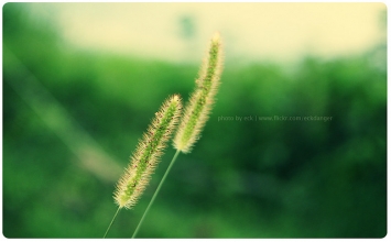 Nghệ thuật tha thứ