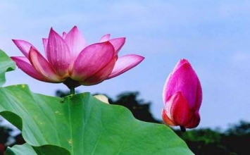 Tuổi trẻ với vấn đề diệt dục