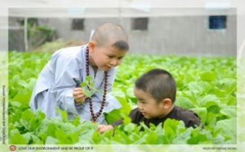 Tuổi trẻ với lòng từ bi