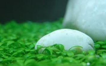 Cuộc sống là những va đập